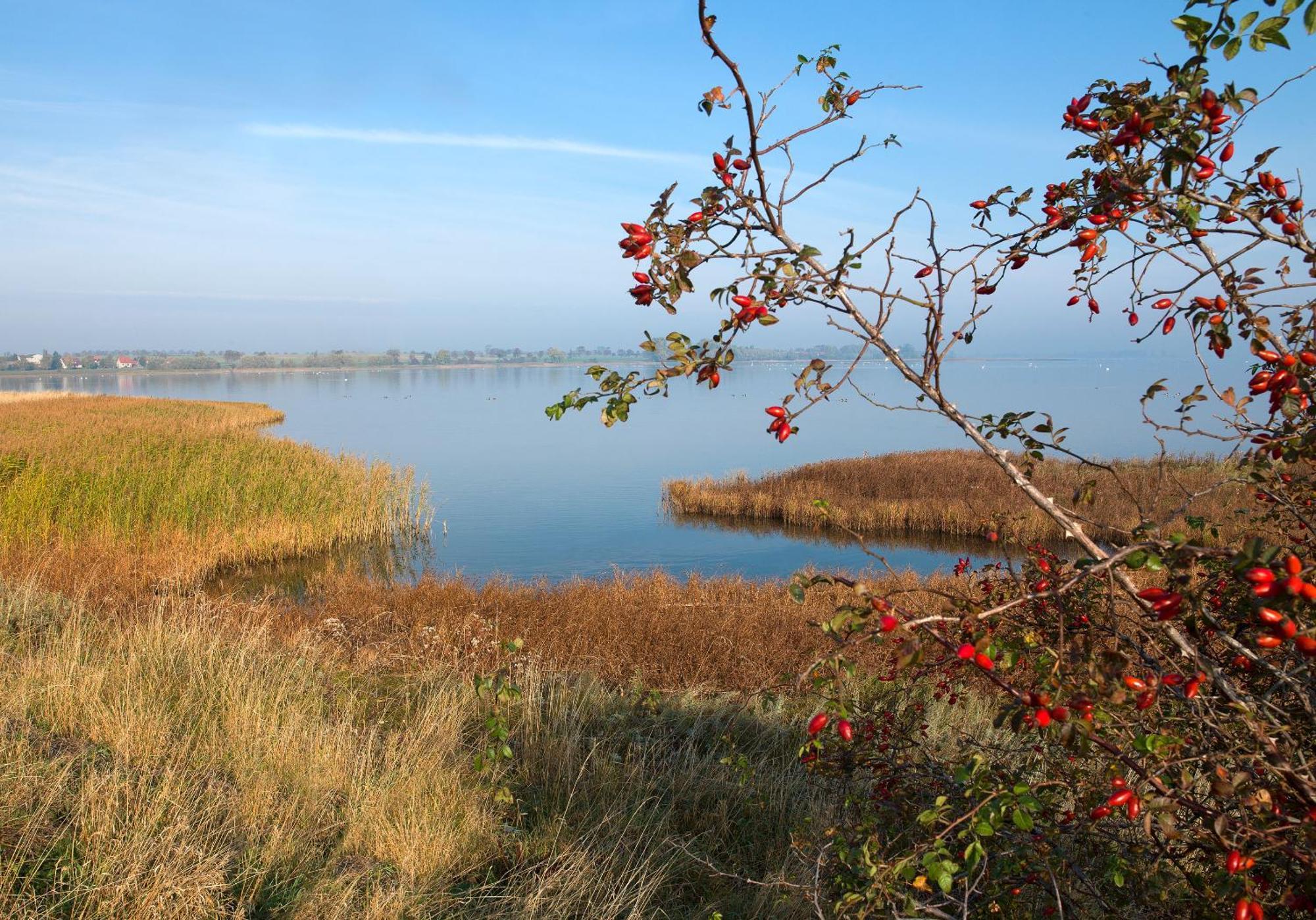 Gaude Tiet Leilighet Insel Poel Eksteriør bilde