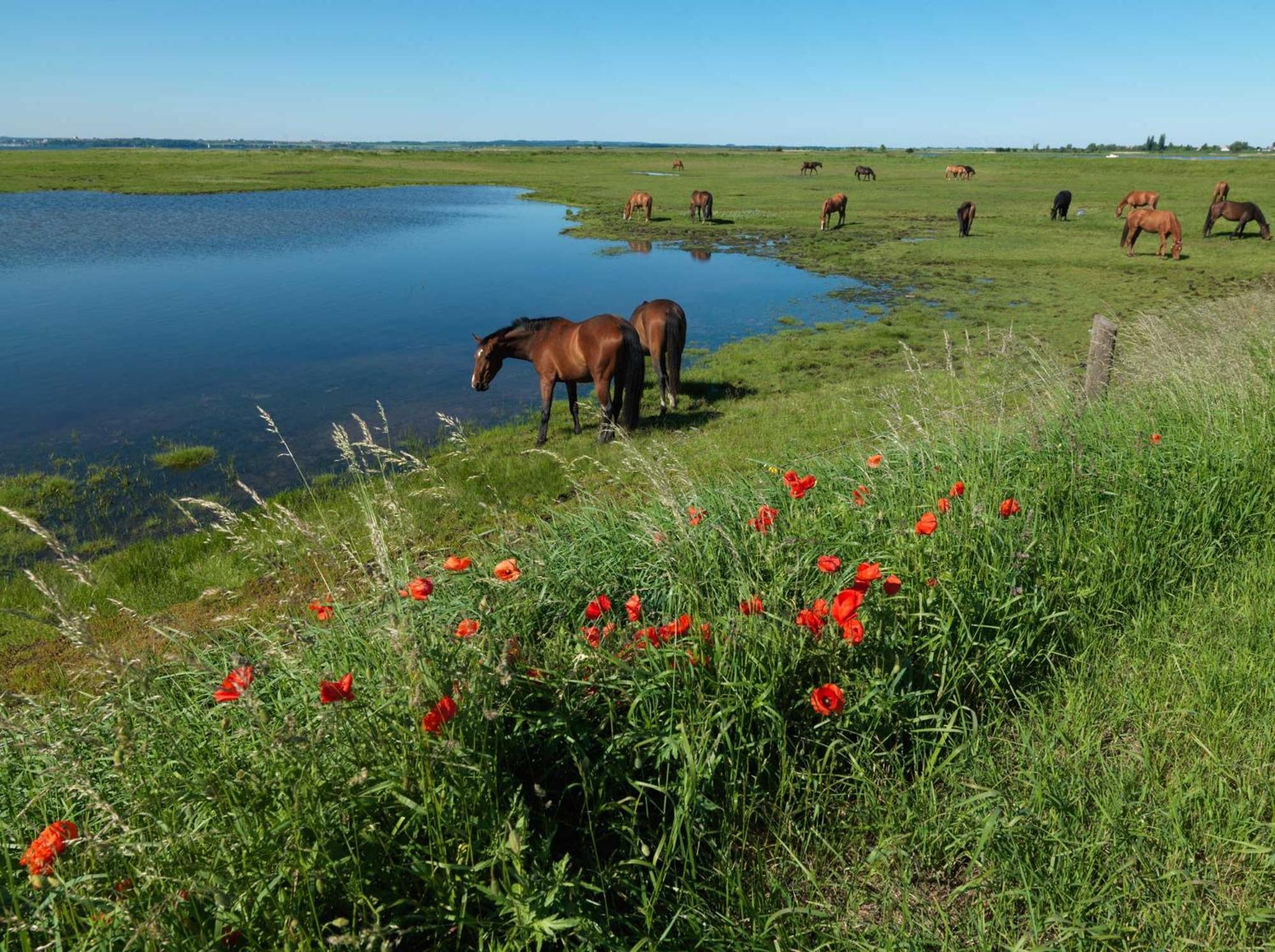 Gaude Tiet Leilighet Insel Poel Eksteriør bilde